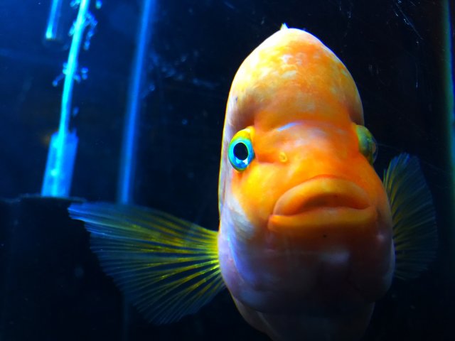 image.jpeg