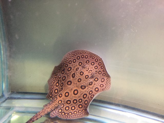 image.jpeg image.jpeg