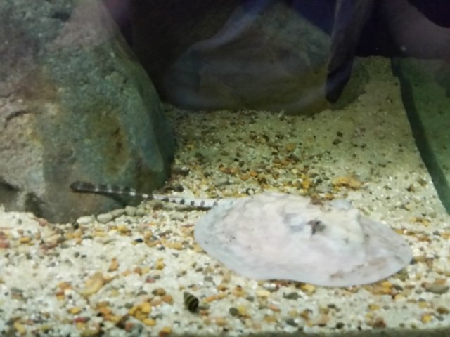 20160307_201558.jpg