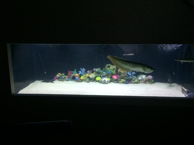 20160816_011721081_iOS.jpg