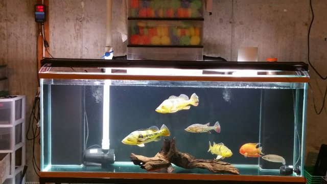 20160806_155000.jpg