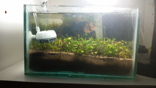 20160821_215806.jpg