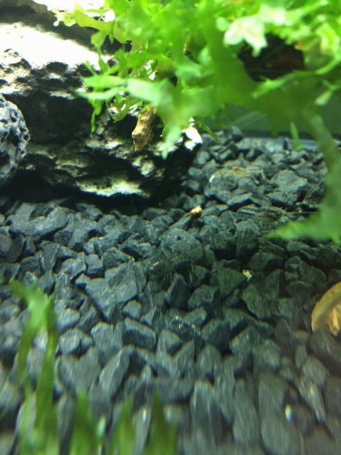 IMG_0536.JPG