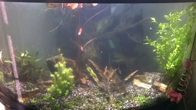 WP_20160823_18_47_17_Pro.jpg WP_20160823_18_47_17_Pro.jpg