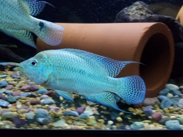 tmp_10075-20160823_234914316467792.jpg