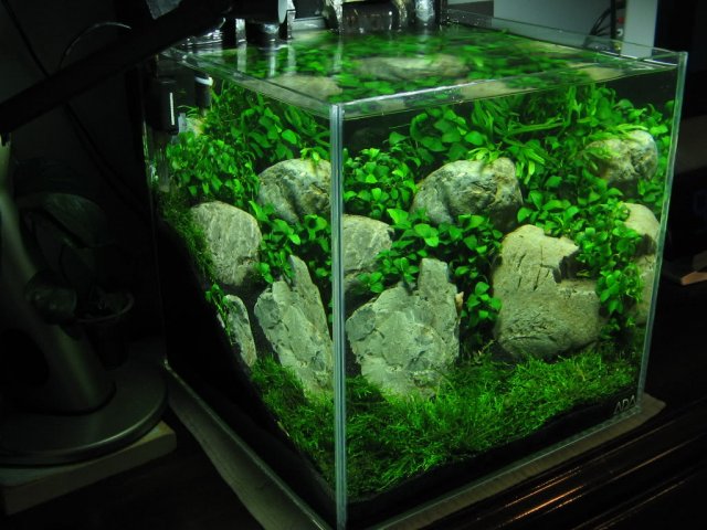 8 square cube.jpg