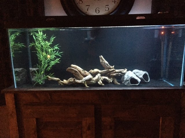 IMG_1584.JPG IMG_1584.JPG