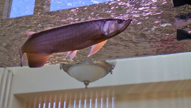 WP_20160824_005.jpg