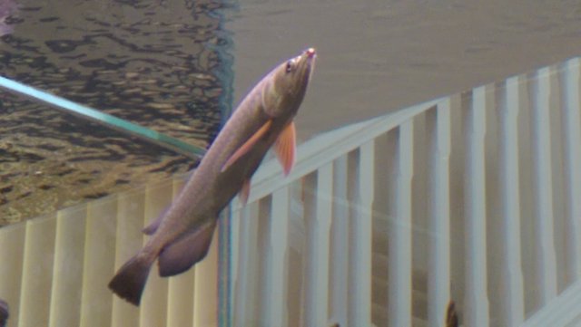 WP_20160824_025.jpg