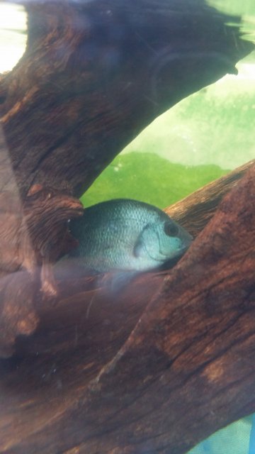 20160817_180104[2].jpg