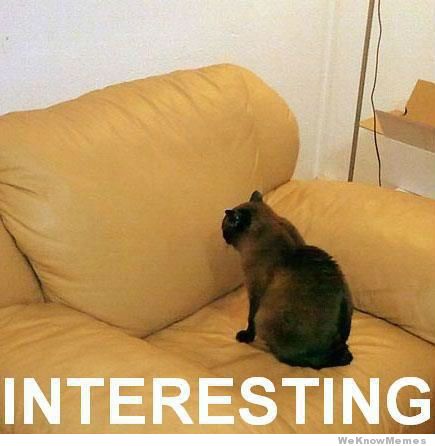 image.jpeg image.jpeg