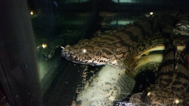 20160827_112941.jpg