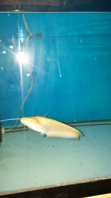 20160827_182034.jpg