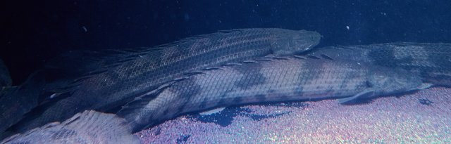 IMG_20160826_141255.jpg