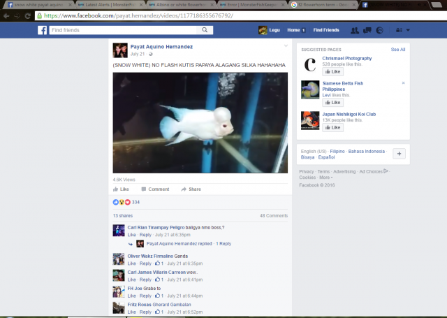 Screenshot 2016-08-31 09.11.48.png