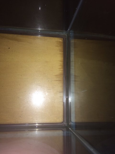 image.jpeg