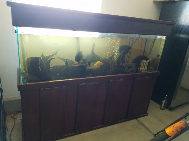 20160724_125834.jpg