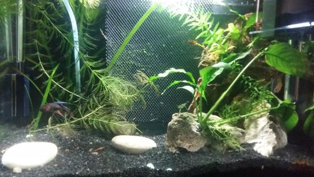 20160827_123349.jpg