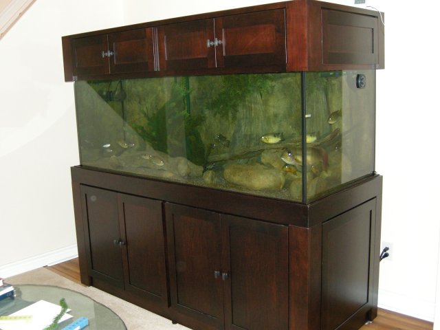 aquariums 004.JPG