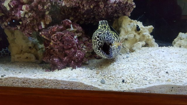 20160903_131745.jpg