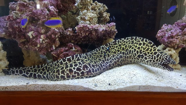 20160903_132707.jpg