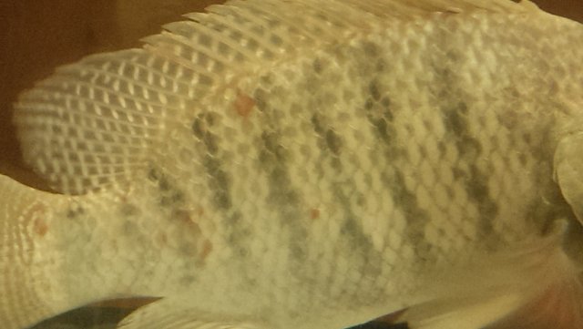 IMAG0432.jpg