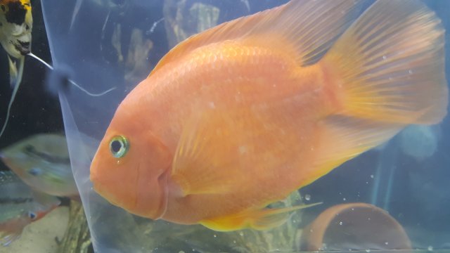 20160903_183257.jpg