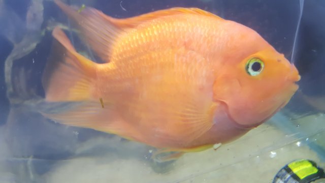 20160903_183510.jpg 20160903_183510.jpg
