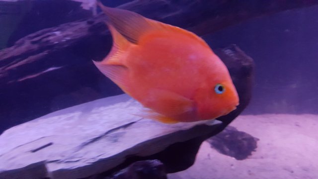 20160904_213254.jpg