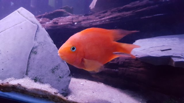 20160904_213344.jpg