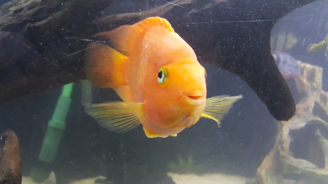 20160904_213511.jpg
