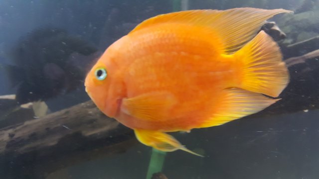 20160904_213514.jpg