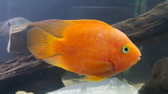 20160904_213523.jpg