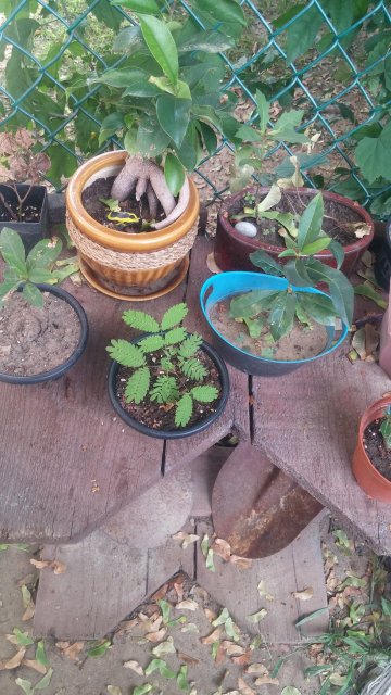 20160905_084639.jpg