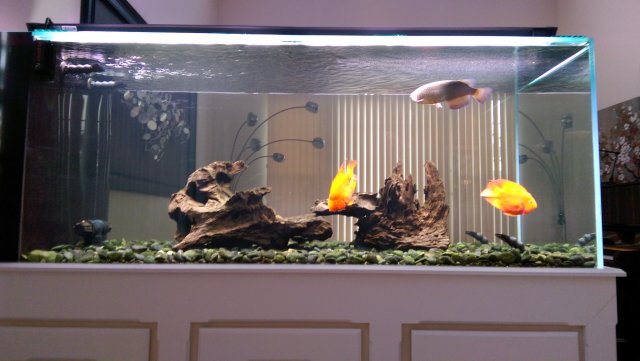 WP_20160813_009.jpg WP_20160813_009.jpg