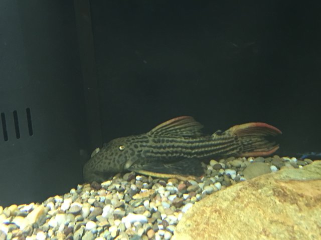 image.jpeg image.jpeg