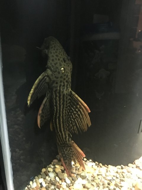 image.jpeg image.jpeg