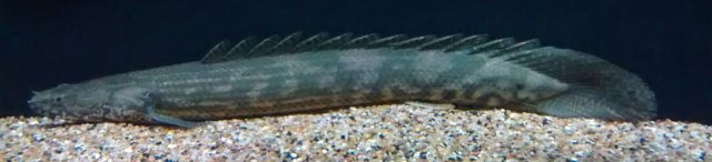 20160906_090952.jpg