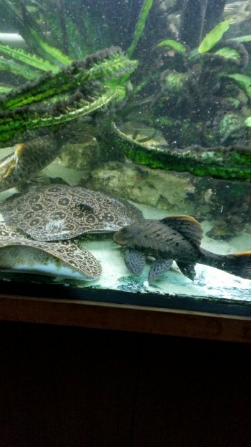 20160906_200216.jpg