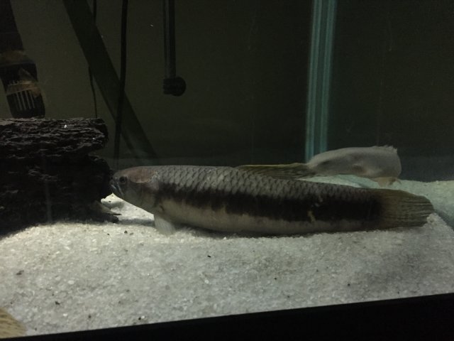 image.jpeg image.jpeg