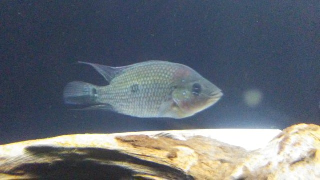 0906162127c.jpg
