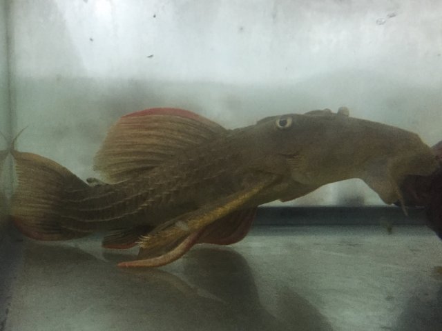 image.jpeg image.jpeg