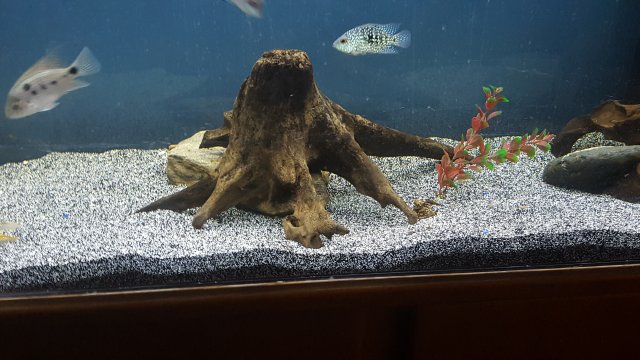20160909_131639.jpg