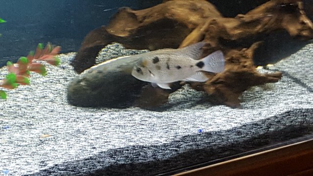 20160909_131540.jpg