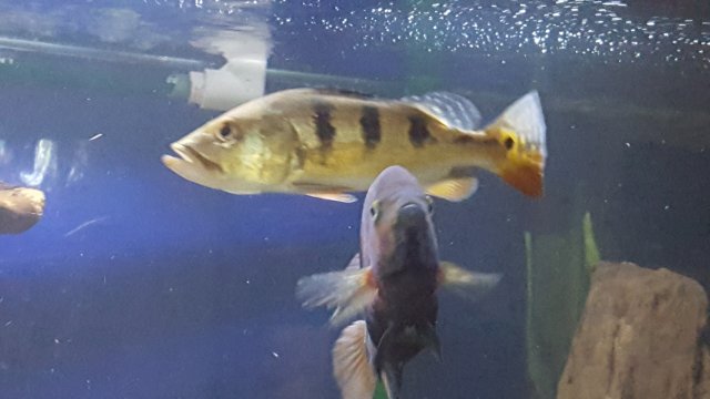 20160909_130230.jpg