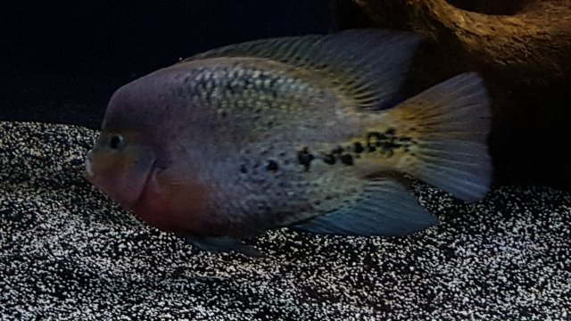 20160909_185949.jpg