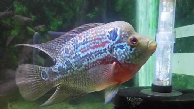 20160910_230010.jpg