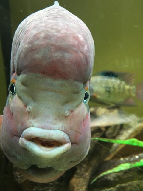 image.jpeg