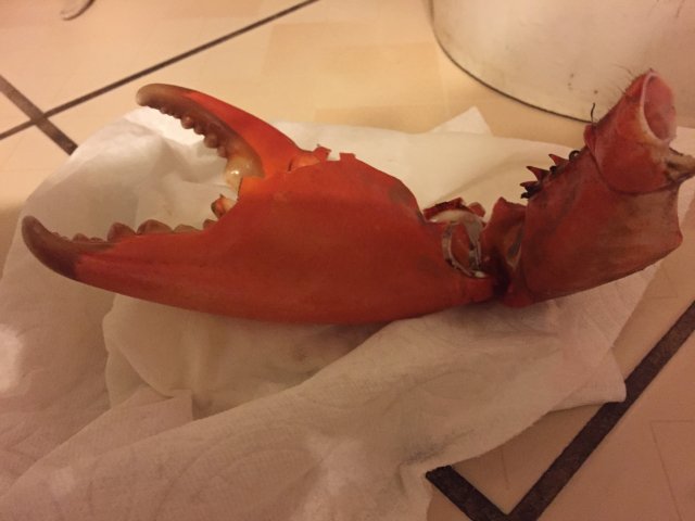 image.jpeg