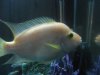 fishtank3 001.jpg